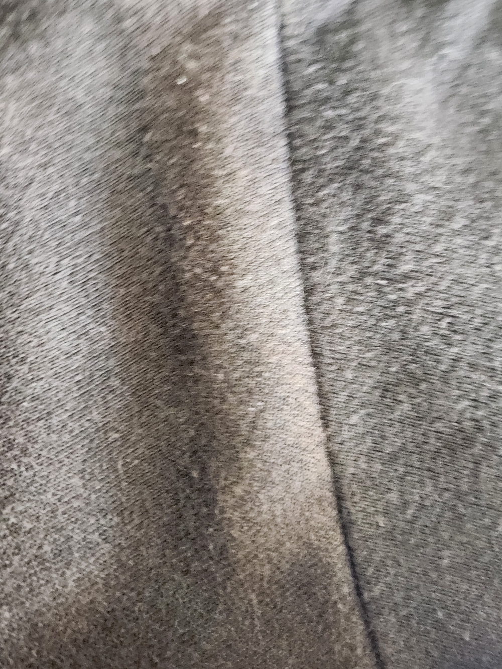 Converse Black All Star Hoodie - Picture 6 of 7
